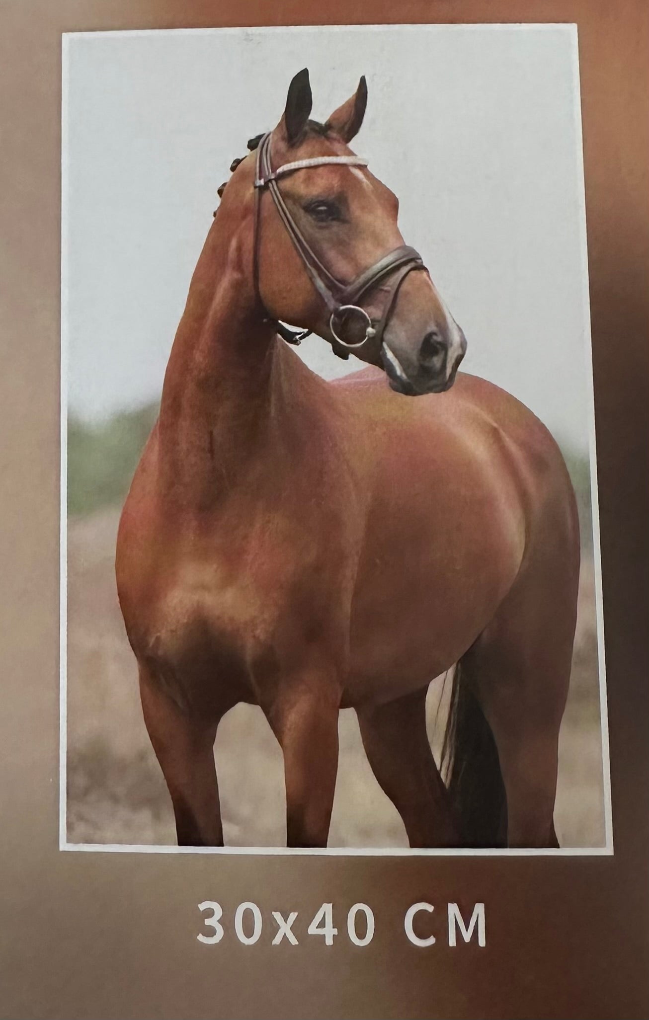 Diamond art - Hest - 30x40 cm