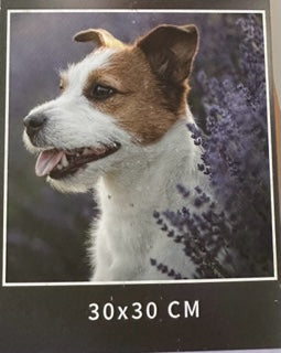 Diamond art - Hund - 30x30 cm