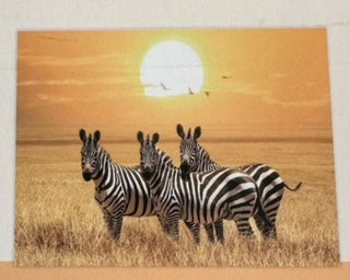 Diamond art - Zebraer - 40x50 cm